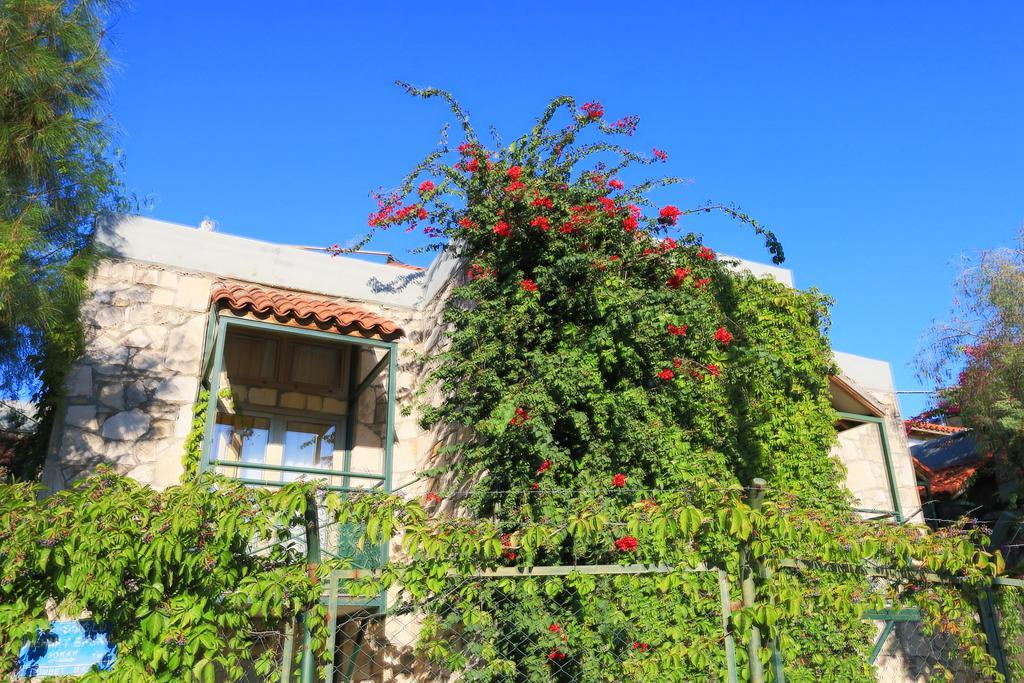 Green House Apart Hotel Gumbet Luaran gambar